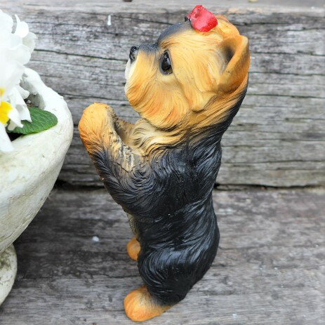 犬の置物 ヨークシャーテリアのお願い 7368HT いぬ イヌ 動物 オーナメント ガーデン インテリア 雑貨 置物 庭 ガーデンマスコット 雑貨小物 ディスプレィ 陶器 リアル