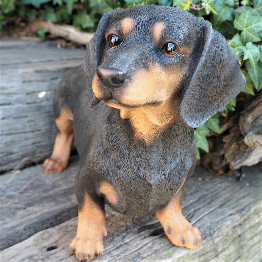 送料無料 犬の置物 ダックスフンド T14056 いぬ イヌ 動物 オーナメント ガーデン インテリア 雑貨 置物 庭 ガーデンマスコット 雑貨小物 ディスプレィ 陶器 リアル ガーデニング雑貨 ガーデン雑貨