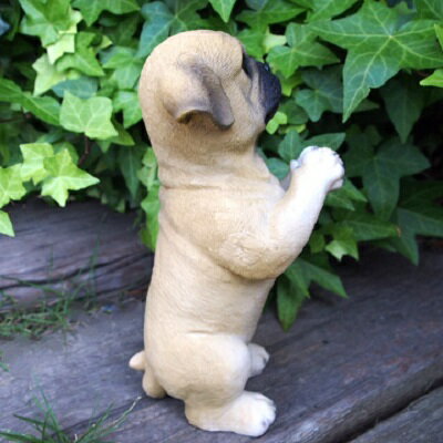 犬の置物 パグのお願い 7363H いぬ イヌ 動物 オーナメント ガーデン インテリア 雑貨 置物 庭 ガーデンマスコット 雑貨小物 ディスプレィ 陶器 リアル