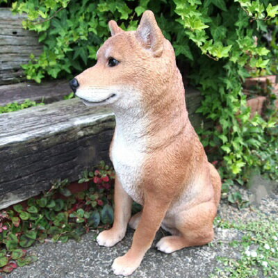 Rakuten - 犬の置物 大型柴犬 053QB いぬ イヌ 動物 オーナメント ガーデン インテリア 雑貨 置物 庭 ガーデンマスコット オブジェ ガーデニング リアル ディスプレィ
