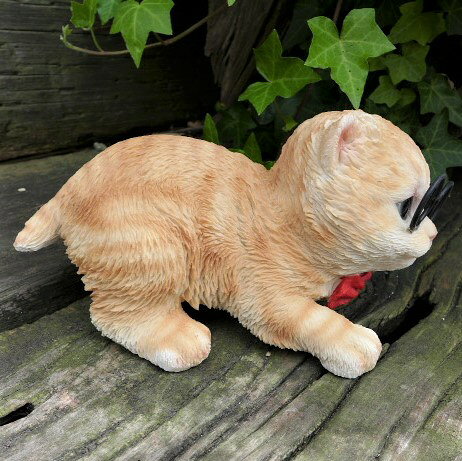 猫の置物 茶トラ子猫 めがねキャット T14224 キャット ガーデンオブジェ CAT 動物 オーナメント ネコ 雑貨 ガーデン オブジェ ガーデニング インテリア マスコット アニマル リアル ディスプレィ ねこ グッズ ガーデニング雑貨 ガーデン雑貨 [2]