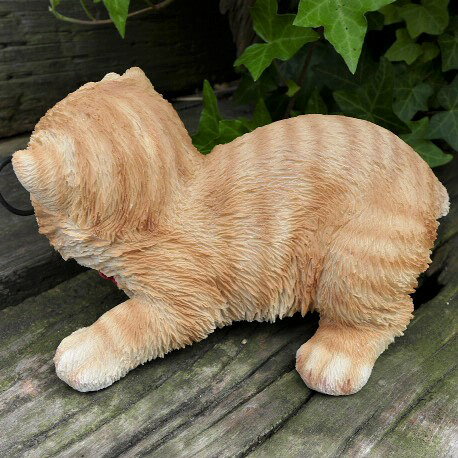 猫の置物 茶トラ子猫 めがねキャット T14224 キャット ガーデンオブジェ CAT 動物 オーナメント ネコ 雑貨 ガーデン オブジェ ガーデニング インテリア マスコット アニマル リアル ディスプレィ ねこ グッズ ガーデニング雑貨 ガーデン雑貨 [3]