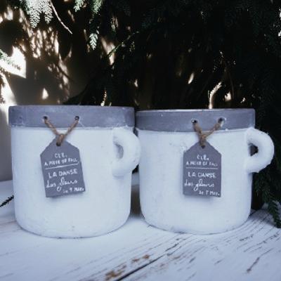 訳あり テラコッタの鉢2品セット TH24 ホワイト ガーデン 植木鉢 陶器鉢 ガーデニング カジュアル 花壇 鉢 庭 玄関