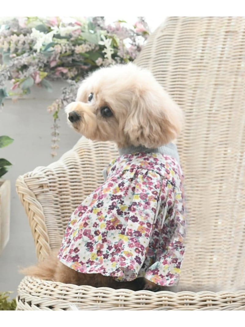 ドッグウエア LAURA ASHLEY HOME ローラ アシュレイ ペット用品 その他のペット用品 ホワイト【送料無料】[Rakuten Fashion]