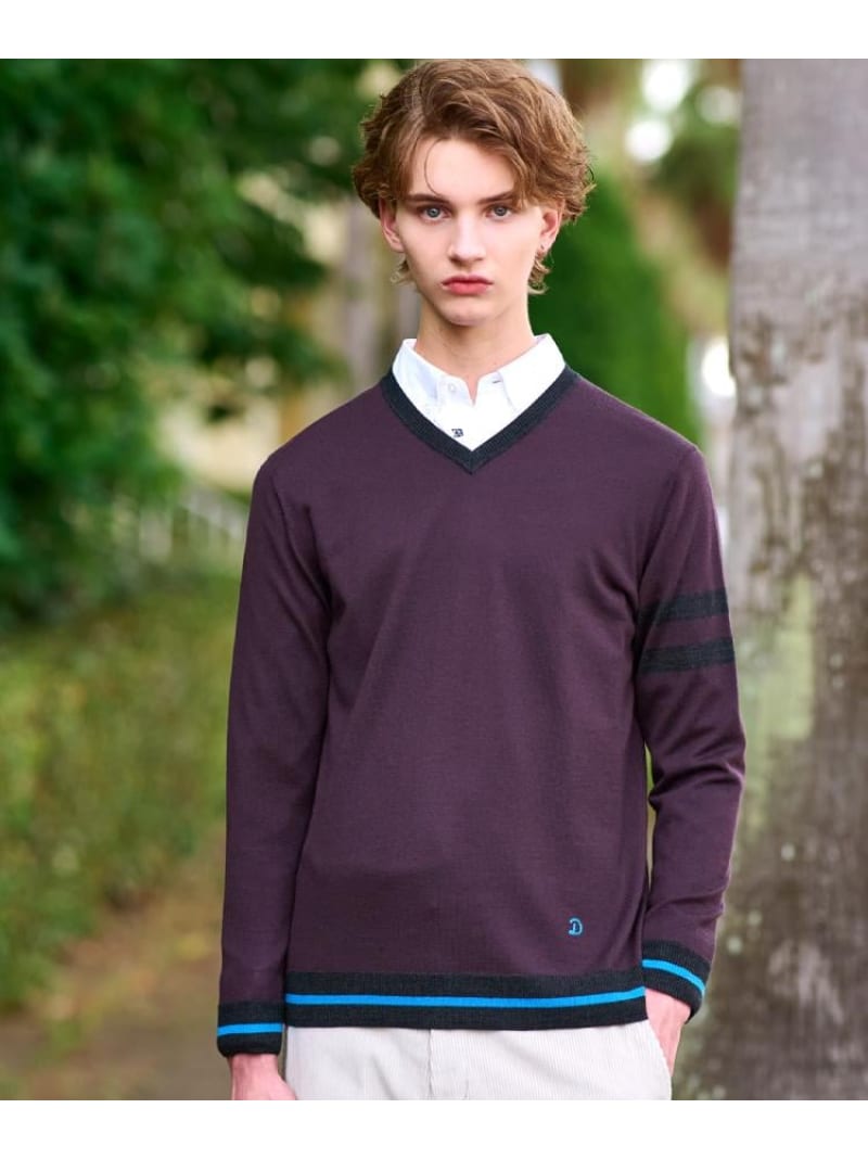 ウォッシャブルファインメリノ Vネックニット DRESSTERIOR ドレステリア トップス ニット ブラウン ブルー ネイビー【送料無料】[Rakuten Fashion]