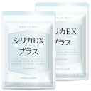 【薬剤師監修】 シリカEXプラス 栄養機能食品 10種の美容成分配合 オールインワン サプリメント 自然由来の高純度ケイ素 水溶性シリカ30日分 2袋