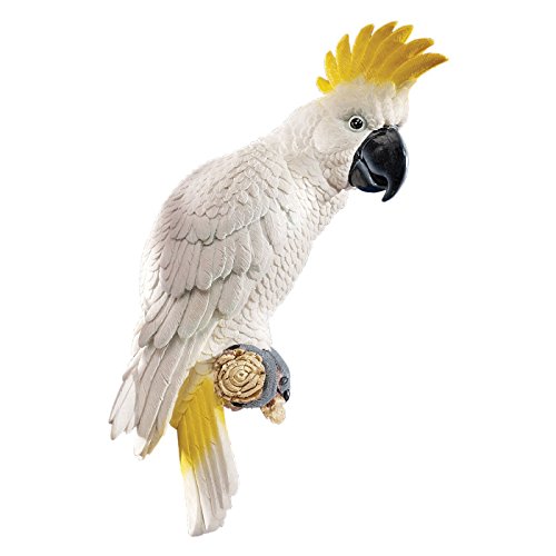Design Toscano Citron Cockatoo Wall Sculpture by Design Toscano