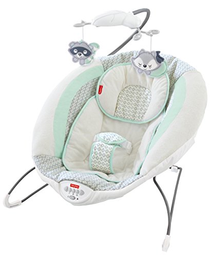 Fisher-Price Moonlight Meadow Deluxe Bouncer