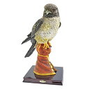 【商品名】Design Toscano Hunting Falcon Bird of Prey Statue 【カテゴリー】ホーム：インテリア【商品詳細】 KY2010 Features: -Cast in quality designer...