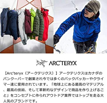 Arc'teryx(アークテリクス) リュック Arro 22 新色 バックパック アロー 22 Backpack 通勤 通学 メンズ