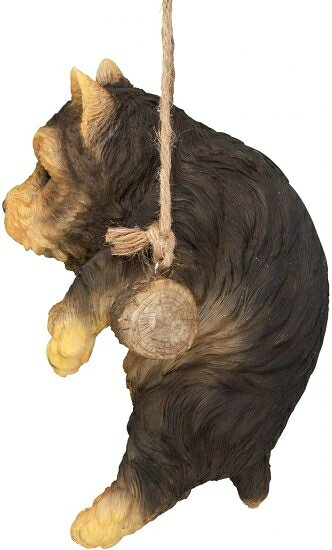 Design Toscano Yorkie Puppy on a パーチ 吊り下げ犬 彫刻 8インチ フルカラー [3]
