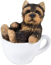 Pacific Giftware Yorkie Puppy 炵~jeB[Jbv ybgpX q RN^[YtBMA