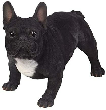 Pacific Giftware PT リアルな大型像 黒と白のフレンチブルドッグ 動物犬 装飾樹脂置物 Pacific Giftware PT リアルな大型像 黒と白のフレンチブルドッグ 動物犬 装飾樹脂置物