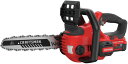 CRAFTSMAN V20 Cordless Chainsaw, 12-Inch (CMCCS620M1)