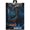 ネカ エイリアン 7インチ アクションフィギュア アラクノイド・エイリアン (ムービー・デコ・バリアント) / NECA 2021 Alien 7inch Ac...