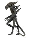 NECA エイリアン 7インチアクションフィギュア シリーズ11 エイリアン デファイアンス ゼノモーフ ネカ ALIENS DEFIANCE XENOMORP...