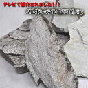 楽天World Stone Balibulan【卸し売り価格】再入荷！！！バドガシュタイン鉱石 約5kg　バドガシュタイン鉱石 バドガシュタイン 原石 美容 免疫力アップ ダイエット 激安 ラジウム バリブラン