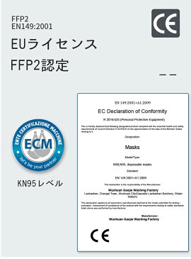 【最大購入数を3個まで】【転売禁止】【送料無料】KN95マスク 不織布マスク　ウイルス対策 フィルターマスク 立体 マスク 5層 マスク 吊り耳 10枚入PM2.5対策 ほこり 風邪 花粉 ホワイト 男女共用