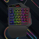 【送料無料】片手ゲーミングキーボード専用コンバーター 内蔵 RGB ゲーミングキーボード 35キー USB有線 日本語取扱説明付き リストレスト付き フルプログラム可能 LOL/PUBG/Fortnite/Wow/Dota/OW対応の片手ゲームキーボード