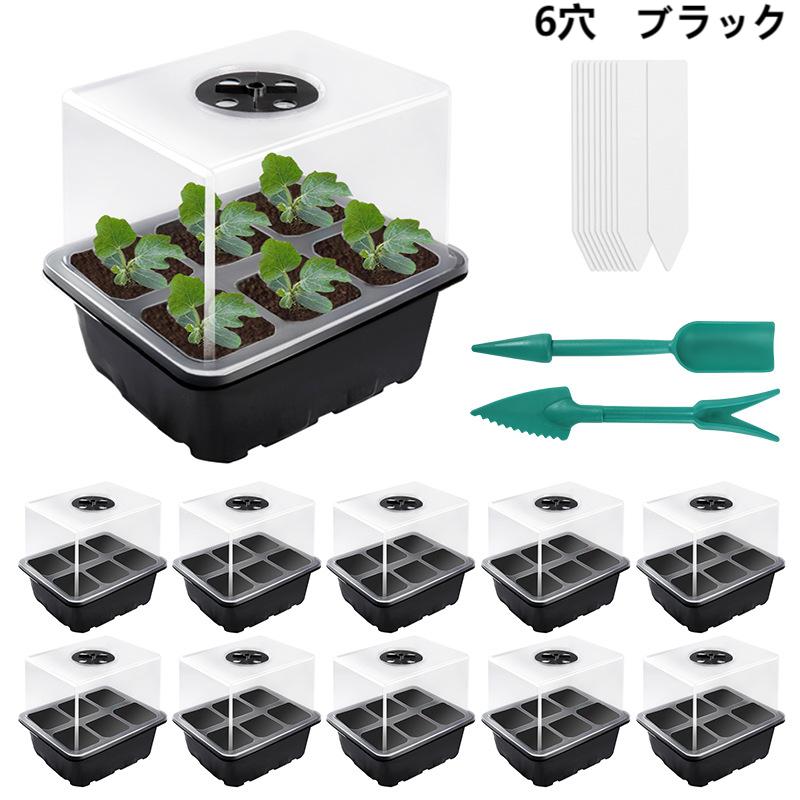 ����Ȣ �����ڱ� Ʃ�����С��դ� �ȥ졼�դ� 12�� �̵���ȴ�� ������� ��ں��� 10�ĥ��å� 6�� �Ｌ���ݥå� ���ĥݥå�