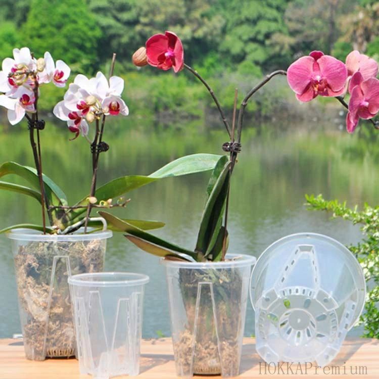 【送料無料】オ 植木鉢 セット 胡蝶蘭 胡蝶蘭の植え替え プランター 胡蝶蘭鉢 10鉢...