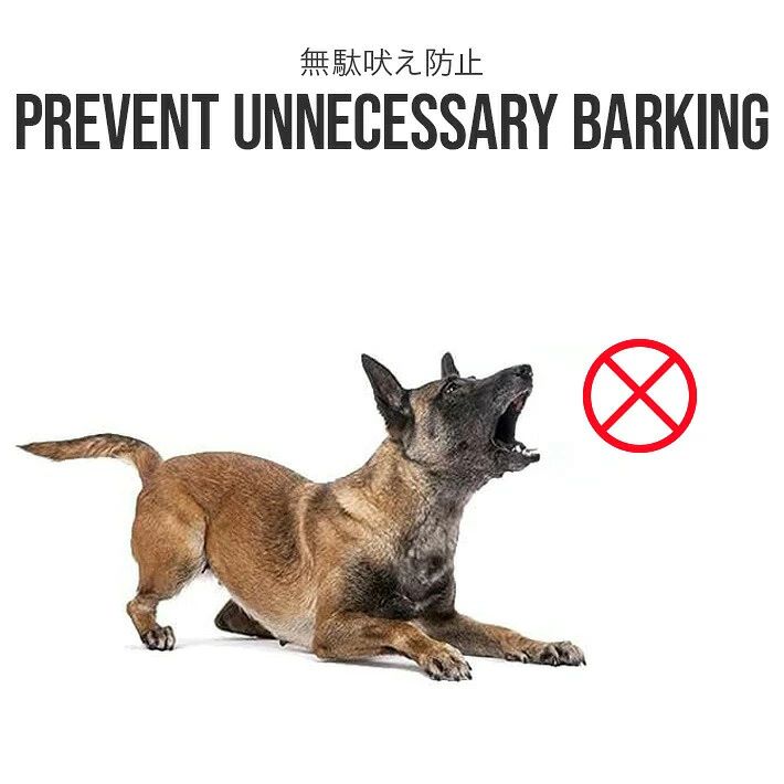 WORLD TEACHのIPX7防水 首輪 犬むだぼえ防止 充電式 訓練用 犬しつけ 7段階センサー 無駄吠え防止器具 グッズ 全自動式｜アングル2