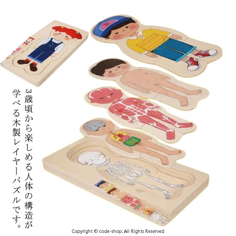 木製人体パズル 男の子 女の子 対象年齢3歳 人体 構造 学べる 木製レイヤーパズル 木のおもちゃ 知育玩具 人体パズル