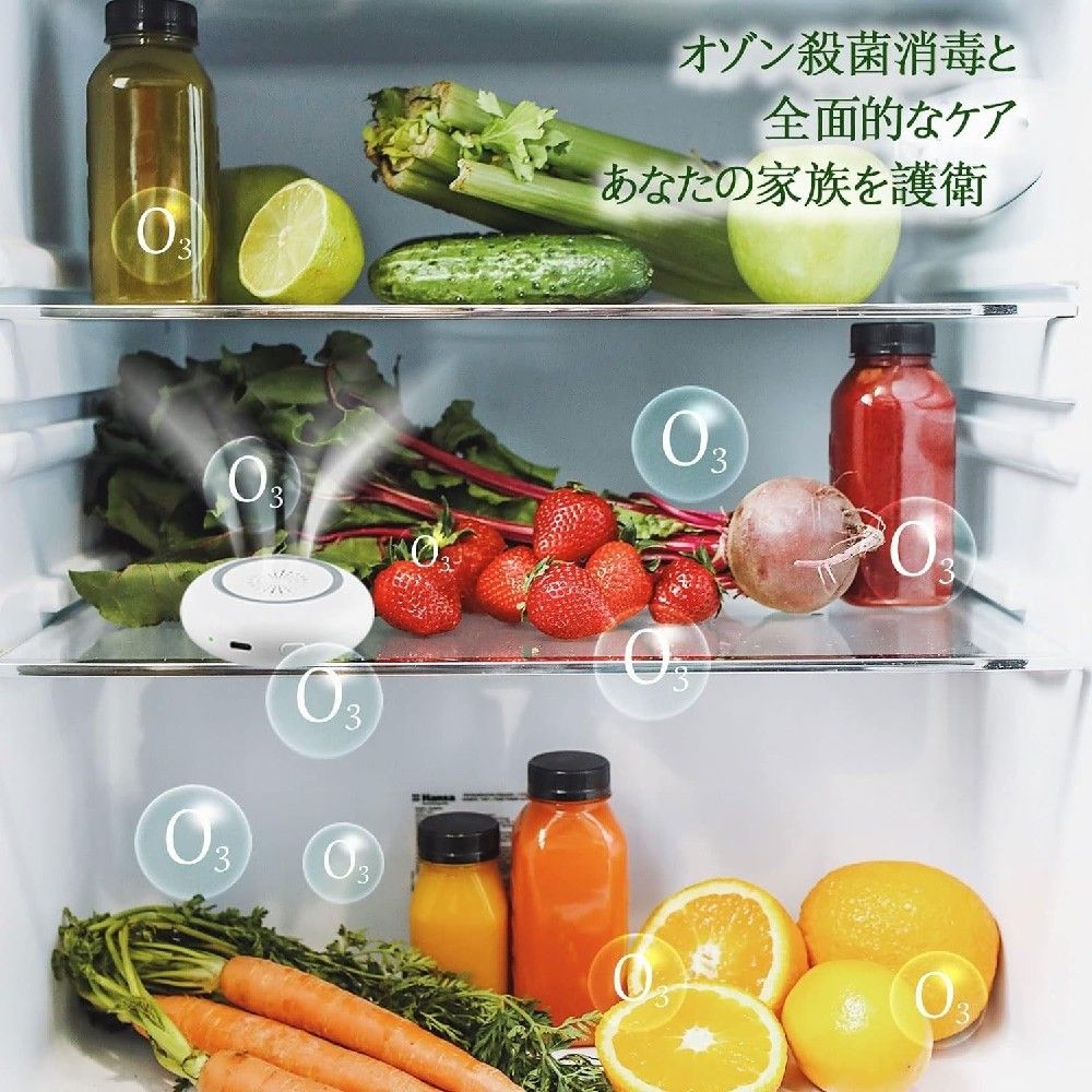 【冷蔵庫や車に】オゾン脱臭機 冷蔵庫脱臭機 小型 ミニオゾン発生器 100mg/h 静音 ...
