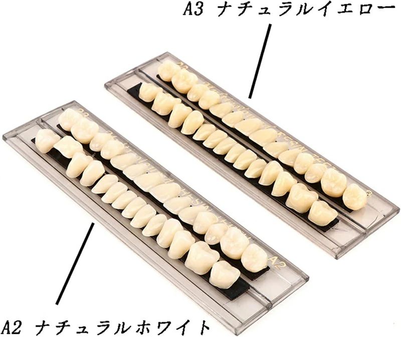WORLD TEACHのホワイト義歯23 仮歯 歯 義歯キット アップ＆ダウン歯科 歯科用アクリル 欠けた応急処置 ハロウィンホラーの小道具 樹脂 義歯A3 入れ歯ケア 28個/セット｜アングル2