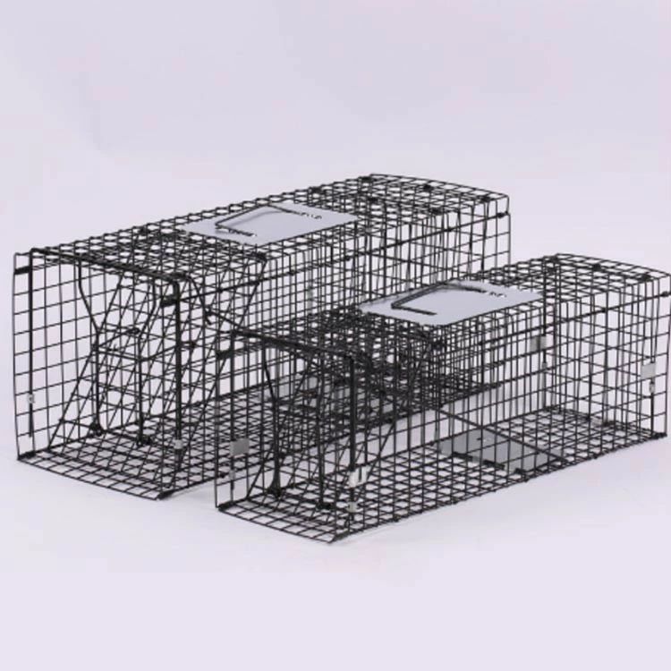 ���˥ޥ�ȥ�å� �ȥ�åץ� �ݸ� ���˥ޥ륭��å��㡼 �Хͼ� ���ö�� Ƨ�ļ� �⥰�� ��� �� � ��ưʪ��ʹ� �ͥ� ��ʹ� ǭ ��ʹ�ǭ ��͵�