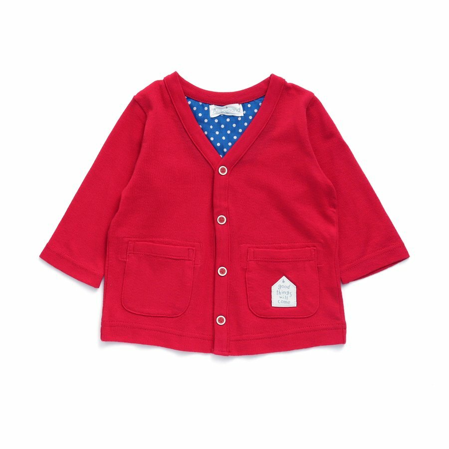 Ampersand �����ǥ����� �ˤλ� ���λ� �Ҷ��� ���å� �ե����ޥ� ���༰ UV�к� ���Ƥ��к� 80cm