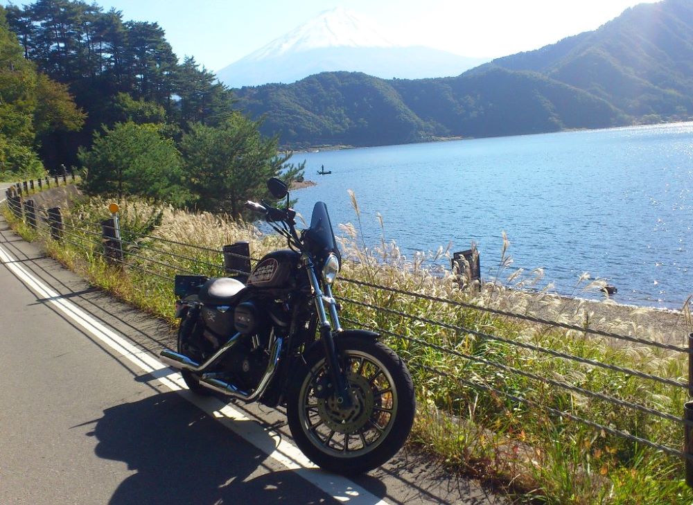 樂天商城 - 1年保証付 メンテナンスクロス付！HD ハーレー スポーツスター XL883R 取り付けバンド付 汎用ウインドスクリーン [WS-09] 風防 クリア スモーク
