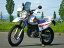 ڥƥʥ󥹥աTT250R쥤 TT-R250쥤 TTR250쥤 RAID ѥ꡼  ѡ  ꥢ ⡼