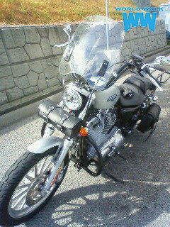 お買物マラソン中P20倍 1年保証付 メンテナンスクロス付！HD ハーレー XL883L スポーツスターロー 汎用大型スクリーン [WS-03] バイザー シールド 風防 クリア スモーク