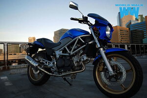 VTR250 ビキニカウル タイプRスクリーン 純正色塗装 ABS製 ボルト付 外装 カウル 風防 国内製産 WW製 ワールドウォーク