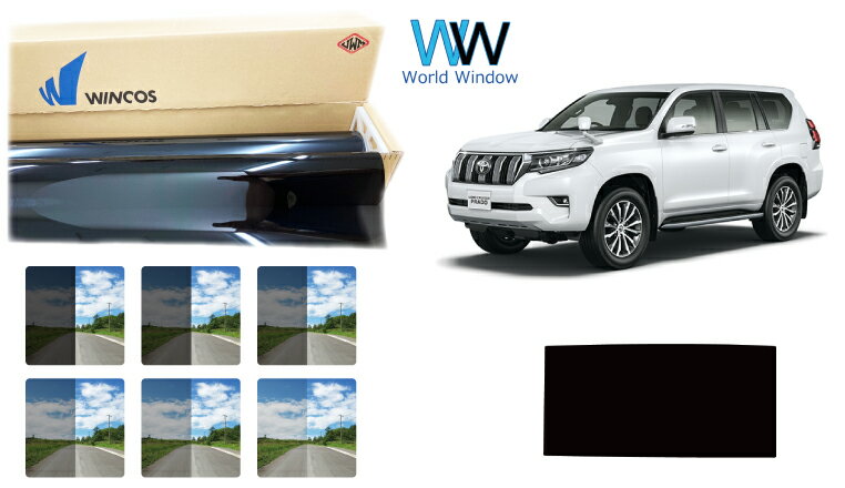 ��ŷ�̥���롼���ѥե����� ��Ǯ���⡼���ե���� (���ƥå� WINCOS �����󥳥� �ץ�ߥ��ॷ�꡼��) �ȥ西 ���ɥ��롼�����ץ�� (150��) ���åȺѤߥ����ե���� ���⡼���ե����