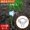 接木クリップ 接ぎ木 ホルダ フレンド 苗 ジベレリン 100個