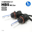 【在庫限り】LYZER製『 LYZER II 補修 / 交換用 HID スライドバーナー 』【形状: HB5 Hi / Lo スライド】【ケルビン数: 6000...