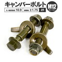ダイハツ ブーン M300S M301S フロント 対応 キャンバーボルト M12 調整幅 ±1.75° 亜鉛メッキ処理 2本セット 調整 ツライチ