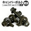 キャンバーボルト M14 アルマイト処理 【1個】 TN:694 アズーリ