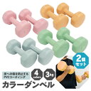 ダンベル 3kg 2個セット フィットネス エクササイズ シェイプアッ...(4)