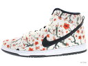 楽天WORM TOKYONIKE SB DUNK HIGH PRO SB 