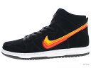 NIKE SB DUNK HIGH PRO