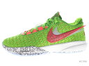 【US7.5】 NIKE LEBRON 20 EP FJ4956-300 【新古品】