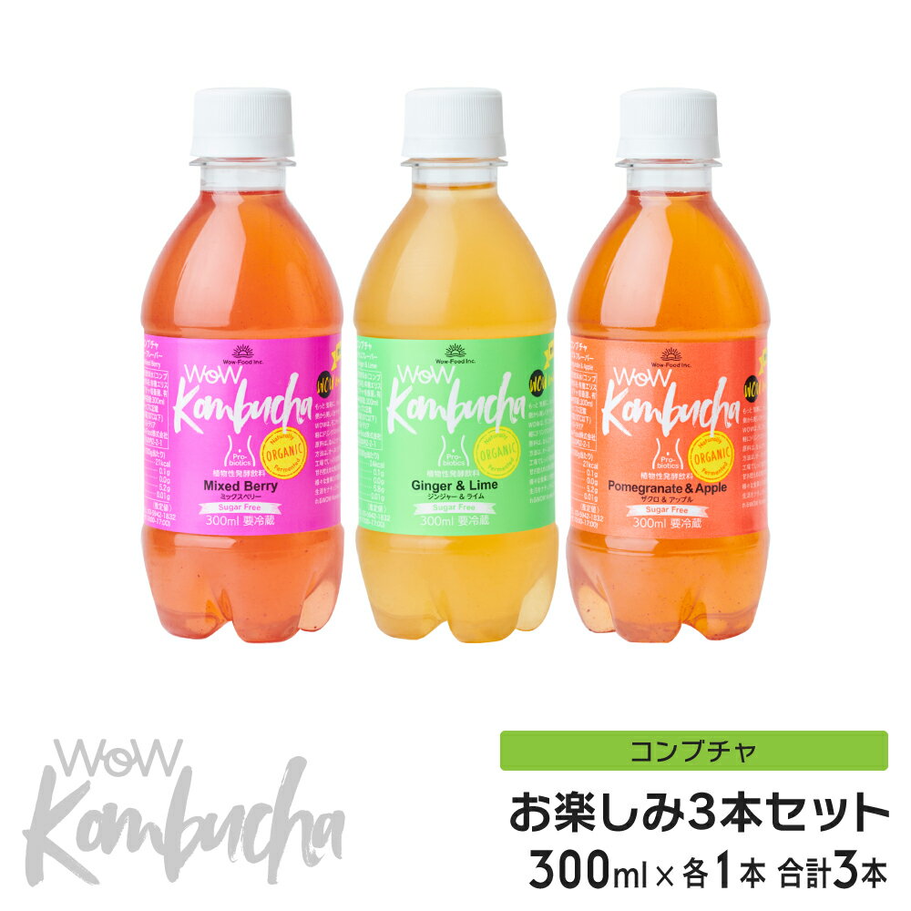 エントリーでポイント10倍 コンブチャ お試しセット Wow Kombucha ワオコンブチャ (300ml/3本) ほぼ1,000円ポッキリ ダイエットドリンク ファスティング 置き換えのサムネイル