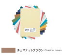 キャンソン ミ・タント シートパック A4サイズ チェスナットブラウン 10枚入×5パック 321-708P