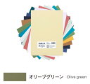キャンソン ミ・タント シートパック A4サイズ オリーブグリーン 10枚入×5パック 321-711P