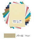 キャンソン ミ・タント シートパック A4サイズ パール 10枚入×5パック 321-658P