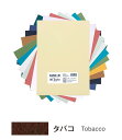 キャンソン ミ・タント シートパック A4サイズ タバコ 10枚入×5パック 331-679P