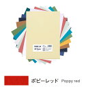 キャンソン ミ・タント シートパック A4サイズ ポピーレッド 10枚入×5パック 321-684P